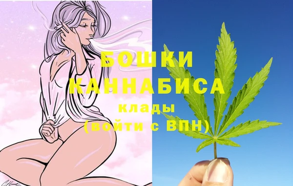 спайс Баксан