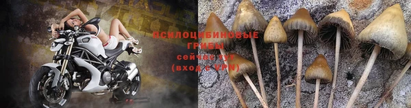 твердый Арсеньев