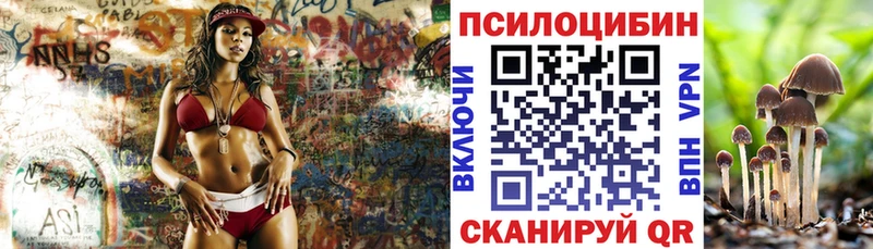 Псилоцибиновые грибы Psilocybine cubensis Талдом